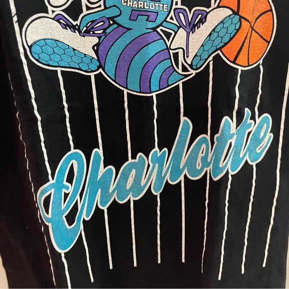 Vintage Hardwood Classics Charlotte Hornet t-shirt Medium - Picture 3 of 5